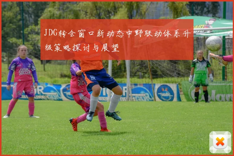 JDG转会窗口新动态中野联动体系升级策略探讨与展望