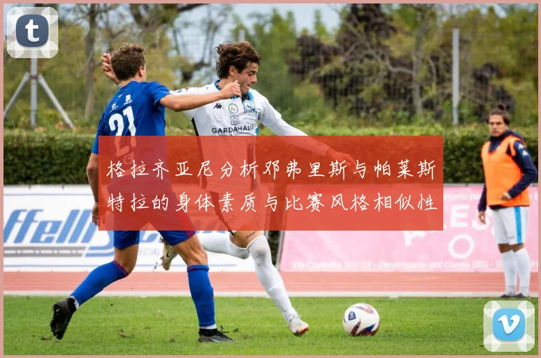 格拉齐亚尼分析邓弗里斯与帕莱斯特拉的身体素质与比赛风格相似性