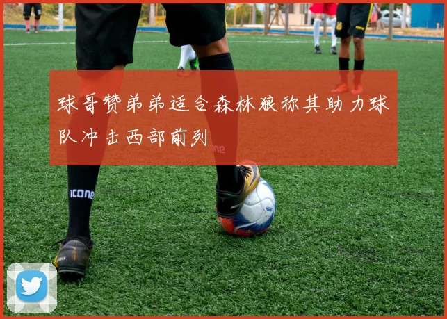 球哥赞弟弟适合森林狼称其助力球队冲击西部前列